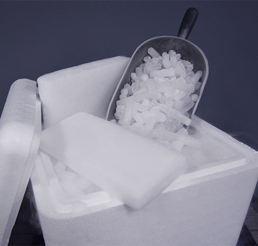 Dry ice pellets in a Styrofoam container with a scoop