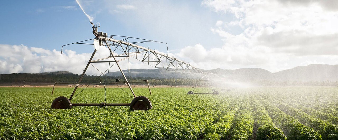 An irrigation machine spraying water on a large field