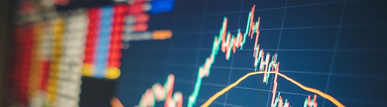 Digital display of fluctuating financial data