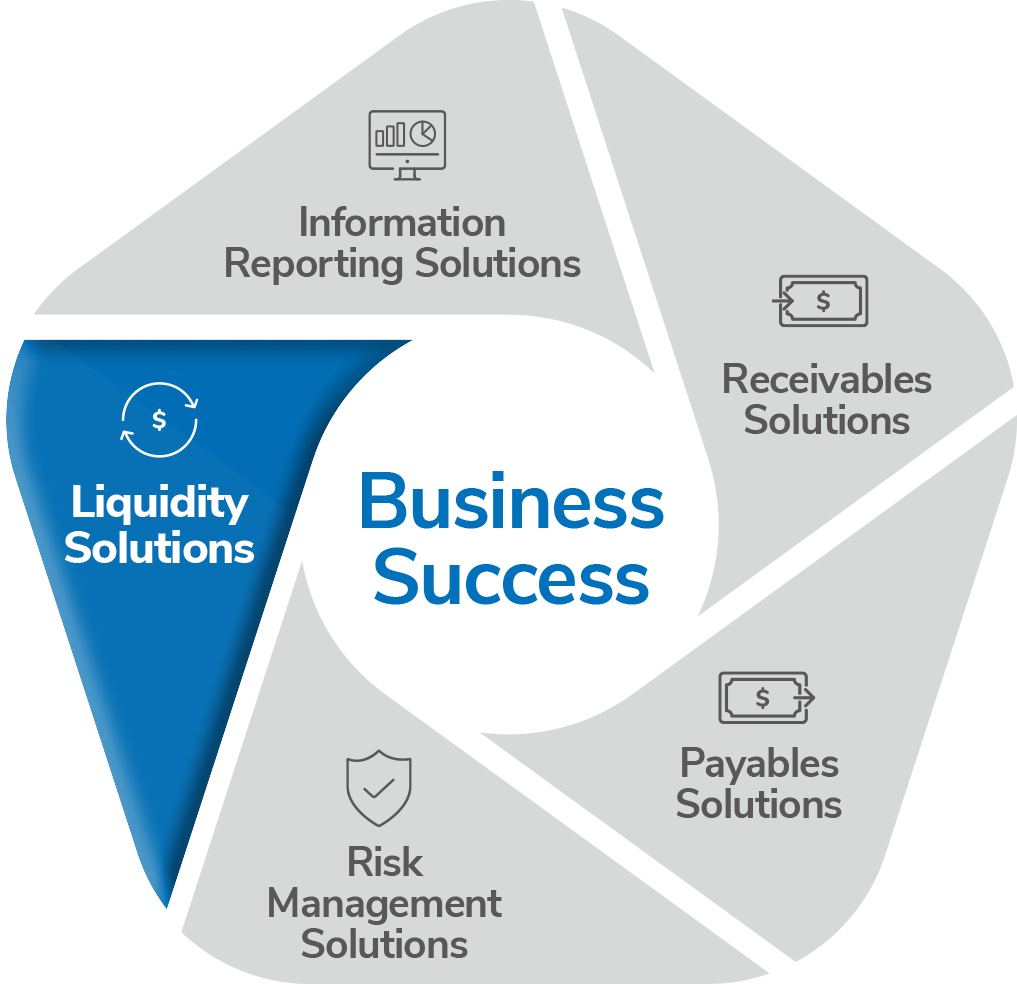 Wheel representing Treasury Management services with "Liquidity Solutions" highlighted