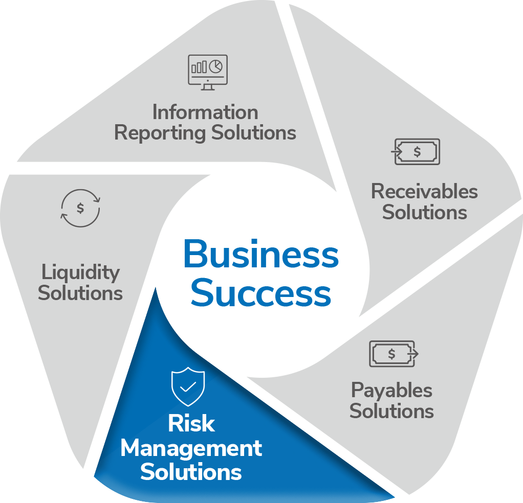 Wheel representing Treasury Management services with "Risk Management Solutions" highlighted